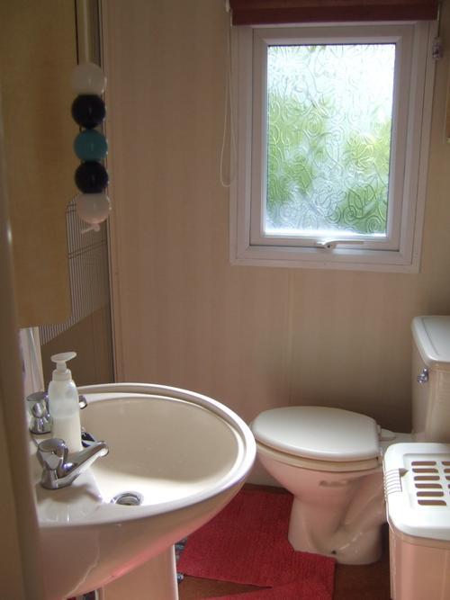 The Shower Room