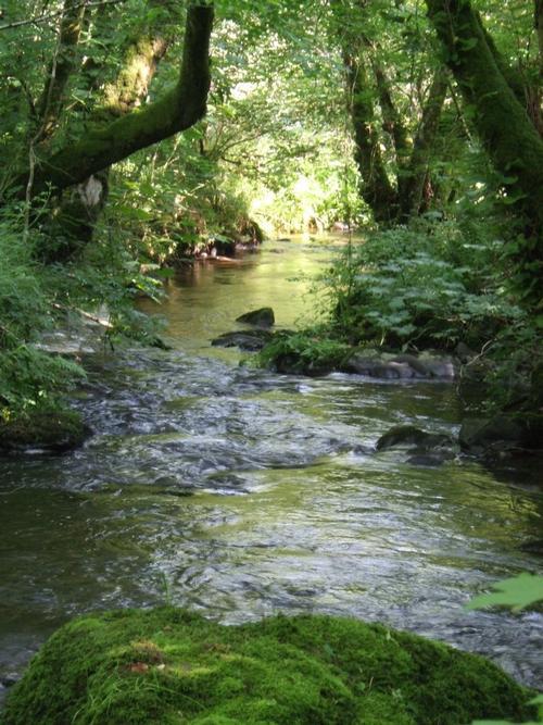 The River Gafel