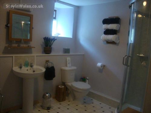 Downstairs shower room