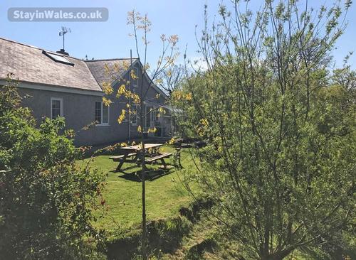 Table in the rear garden