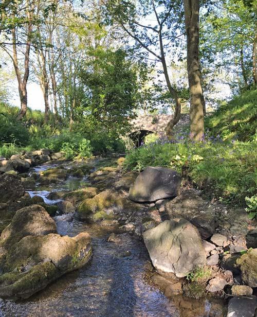 Stream in the rear garden