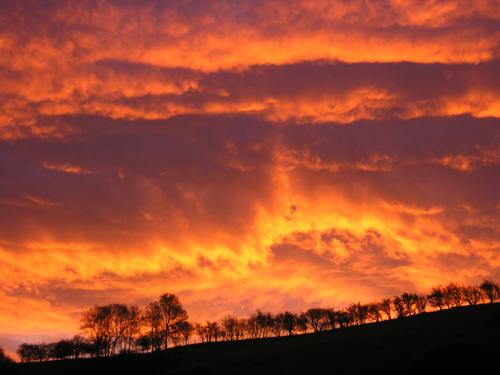 Sunrise from Blackbird Cottage