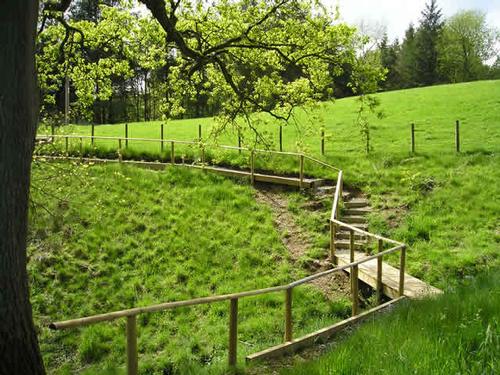 Woodland walk