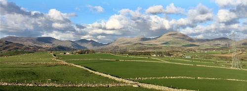 View from the farm