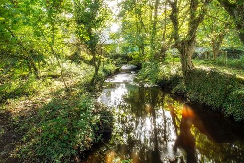 Penrhiw Priory, River