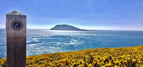 Bardsey Island from the coastal path