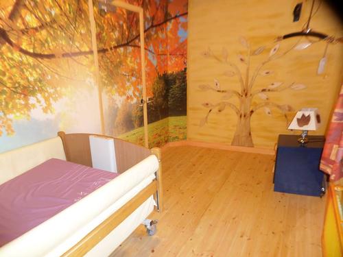 Forest themed bedroom with profiling bed, ceiling hoist, commode and TV