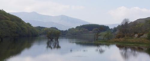 The local Precipice Walk