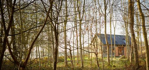 Private woodlands to explore
