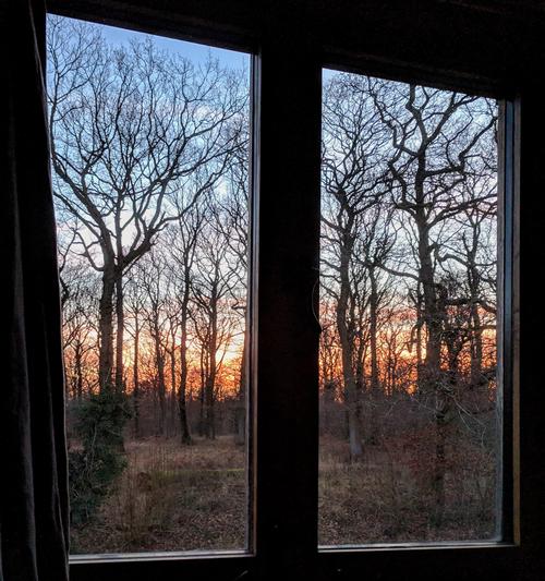 Window view