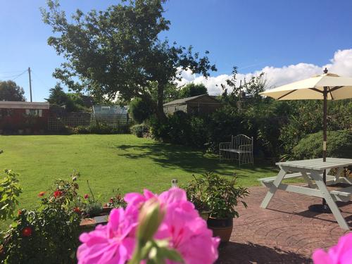 Our garden