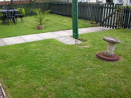 The back garden
