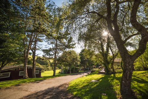 Timber Hill site in the evening sun