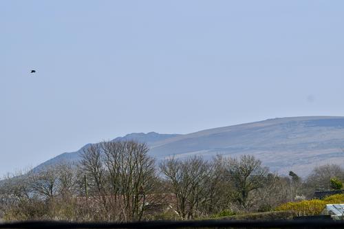 Balcony View of Carn Ingli