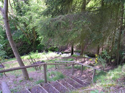 steps down on the woodland walk