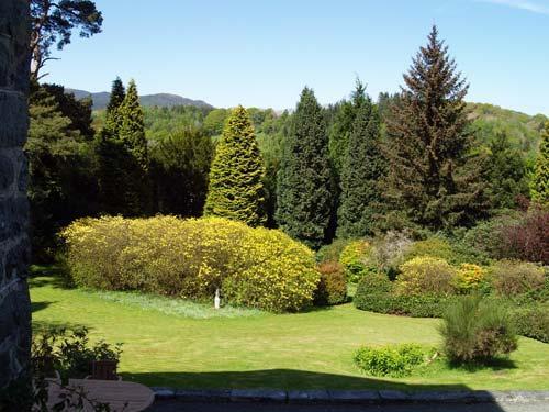 The garden from the kitchen in Flat 2