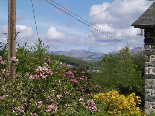 The Aran Mountains seen from The Mews garden