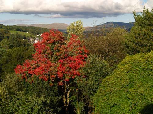 The view from Brynygwin