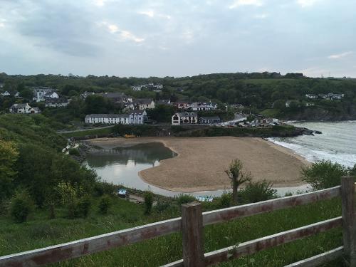 The dog friendly beach