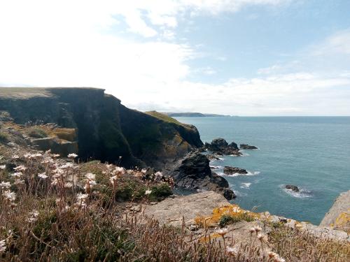 Stunning coastal views from the Ceredigion Coastal Path