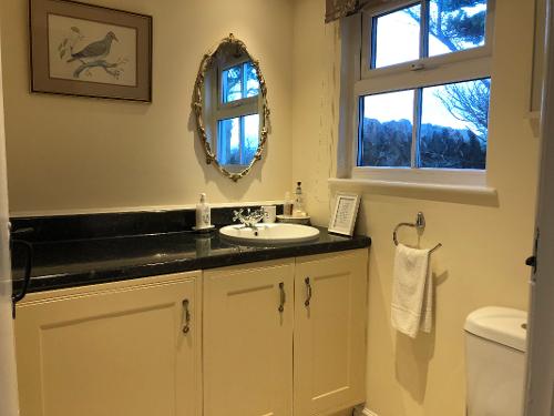 Downstairs WC and washing machine