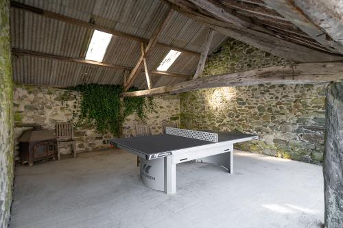 Table Tennis table