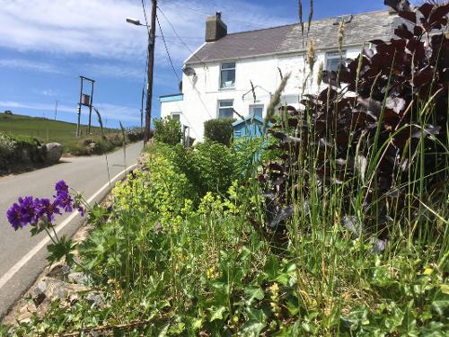 Arallt Holiday Cottage