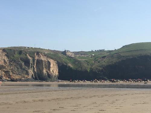 Horse riding on Druidston beach