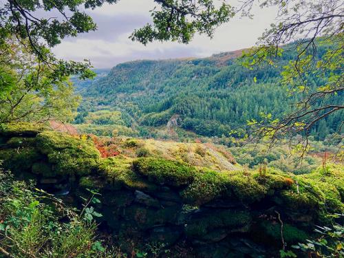 Viewpoint over the Lledr Valley