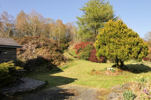 Steps to Picnic Area Behind the Cottage