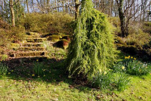 Some of the Gardens