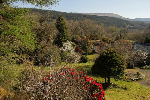 View of some of the gardens
