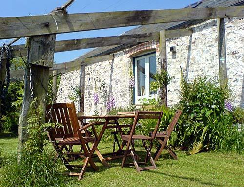 The garden