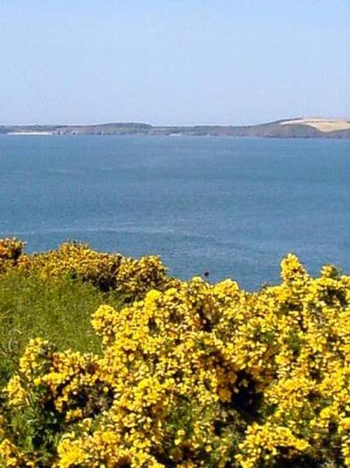 Pembrokeshire coast