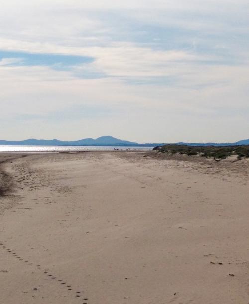 Black Rock Sands