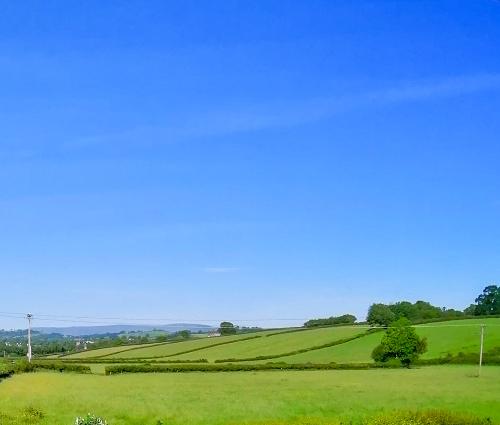 View from Arch Cottage