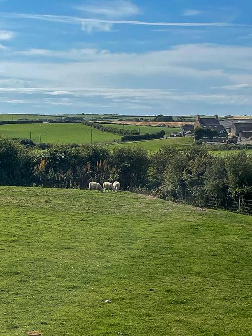 The view from Cwt y Rhos